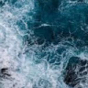 Meet your Posher, Eva